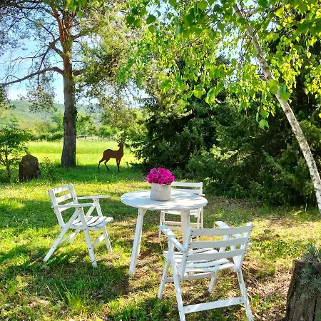 App.To Pian Del Ronco Apartment Pellegrino Parmense Exterior photo